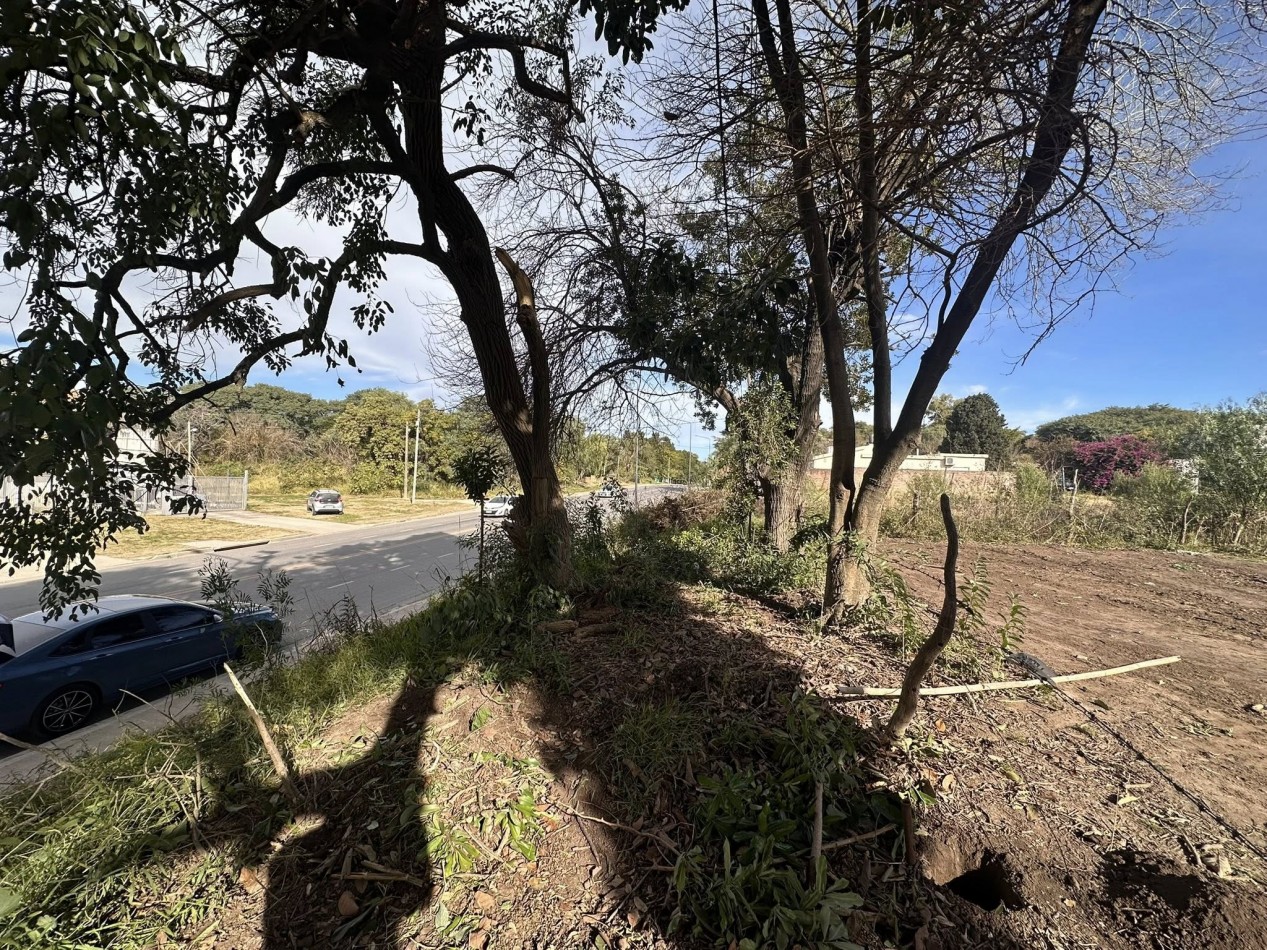 VENDO TERRENO SOBRE AV. ZANNI 