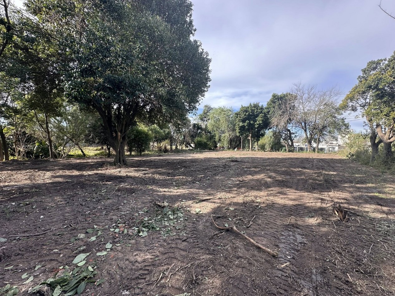 VENDO TERRENO SOBRE AV. ZANNI 