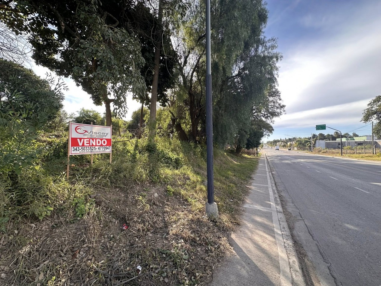 VENDO TERRENO SOBRE AV. ZANNI 