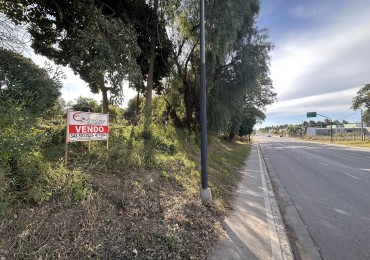 VENDO TERRENO SOBRE AV. ZANNI 